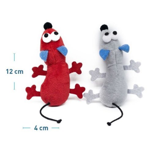 PERRO OJOS GRANDES por mayor Mascotas por mayor