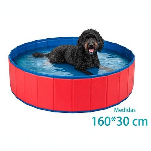 Piscina para perros  por mayor - Mascotas por mayor