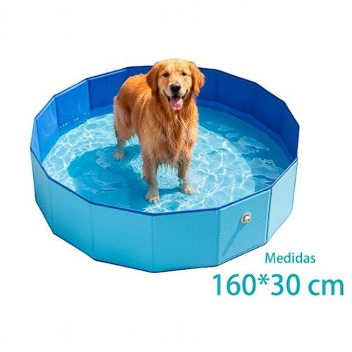 Piscina para perros  por mayor - Mascotas por mayor