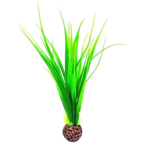 PLANTA PARA ACUARIO por mayor Mascotas por mayor
