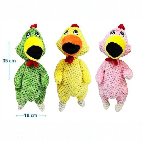 POLLO GRITON  por mayor - Mascotas por mayor