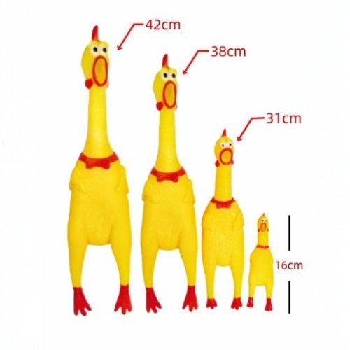 POLLO GRITON por mayor - Mascotas por mayor