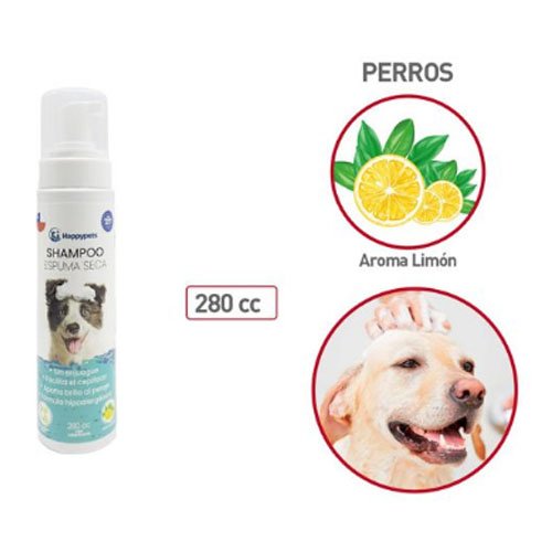 Shampoo espuma seca - 280 CC - Compras Aqui