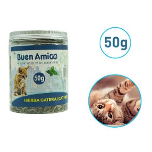 HIERBA GATERA 50 GR por mayor en Chile