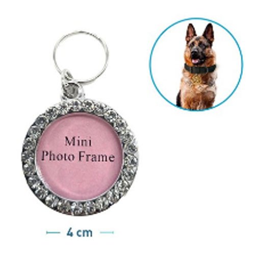 PLACA PARA MASCOTA 4 CM por mayor en Chile