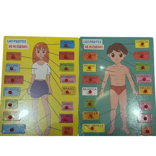 Set 2 Puzzle Cuerpo Humano Rompecabezas Montessori Juguete 1PZA por mayor en Chile
