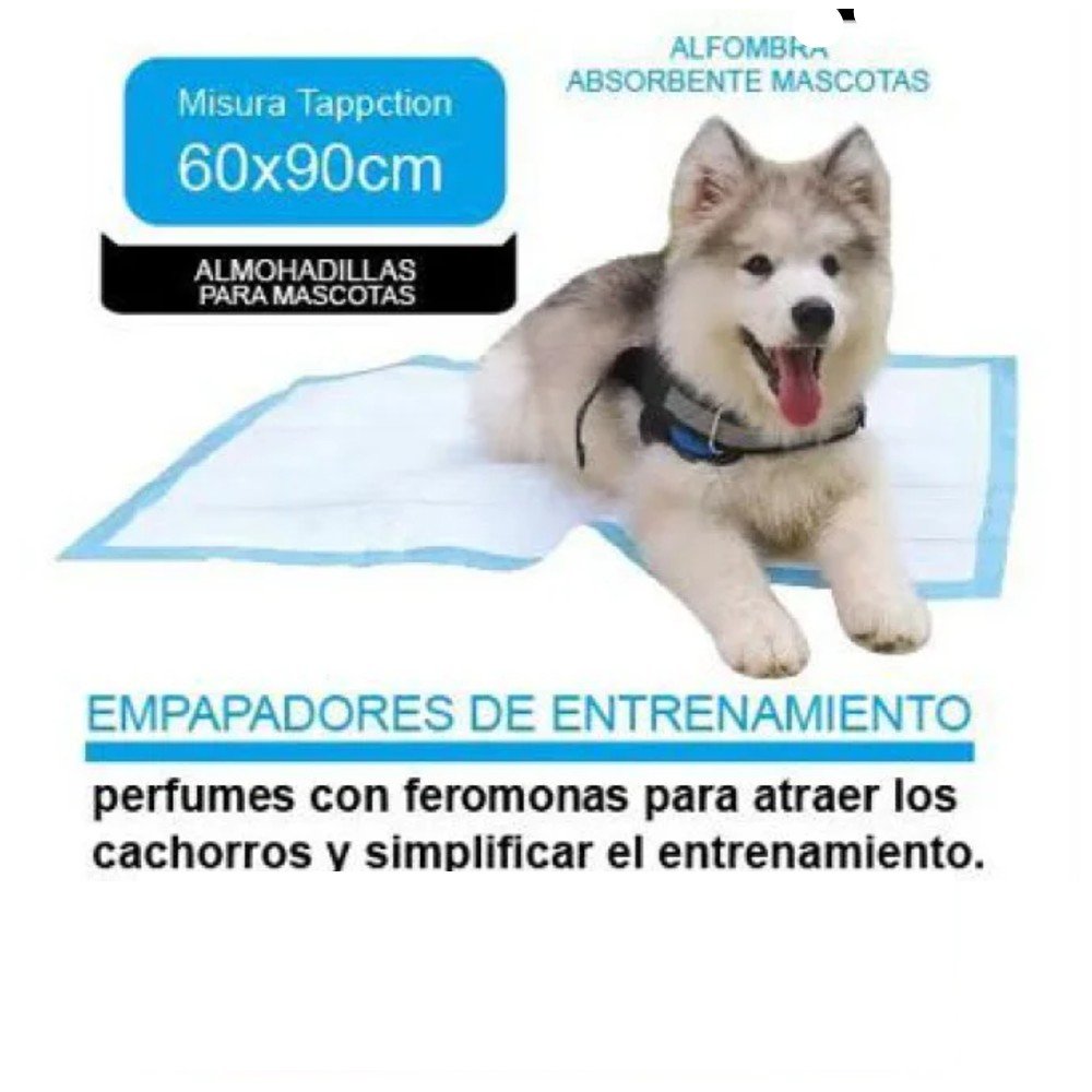 SABANILLAS PARA MASCOTAS 12PZA- 60 X 60 CM por mayor en Chile