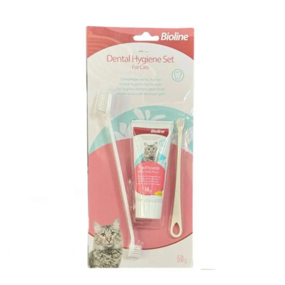 SET DENTAL PARA GATO 1 SET por mayor en Chile