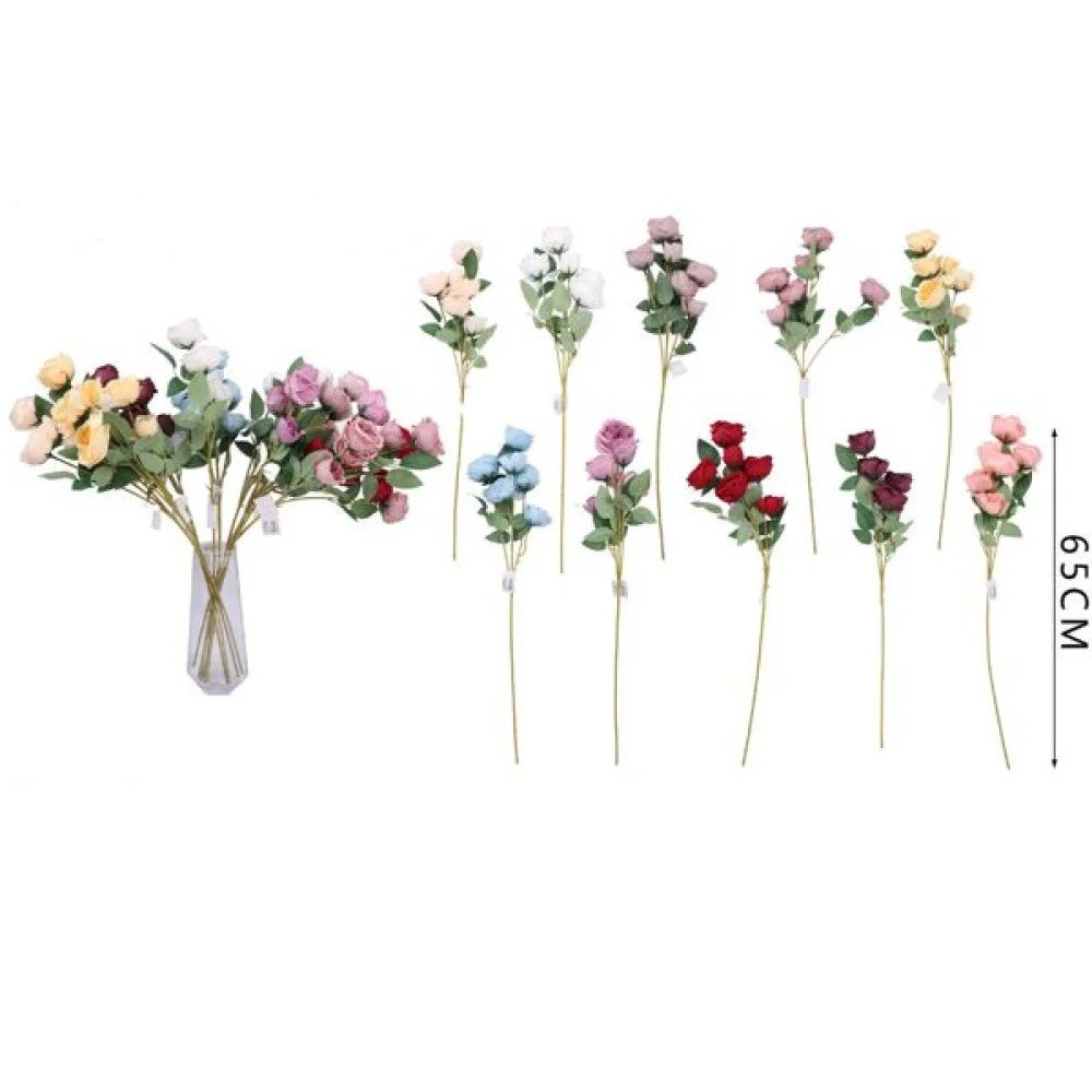 6 rosas Austin/Flores y plantas 65 CM por mayor en Chile