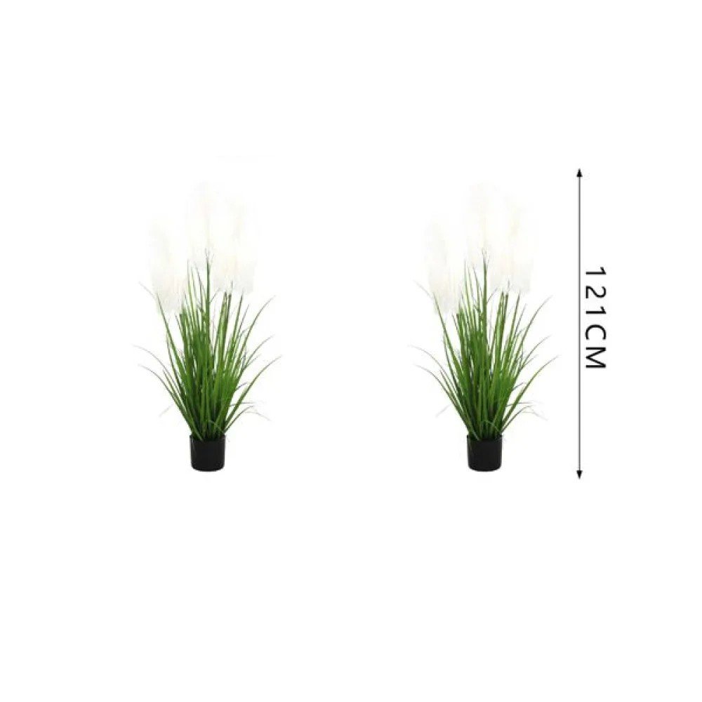 3 grandes plantas de pampa peludas en maceta de 121 cm en blanco 121 cm por mayor en Chile