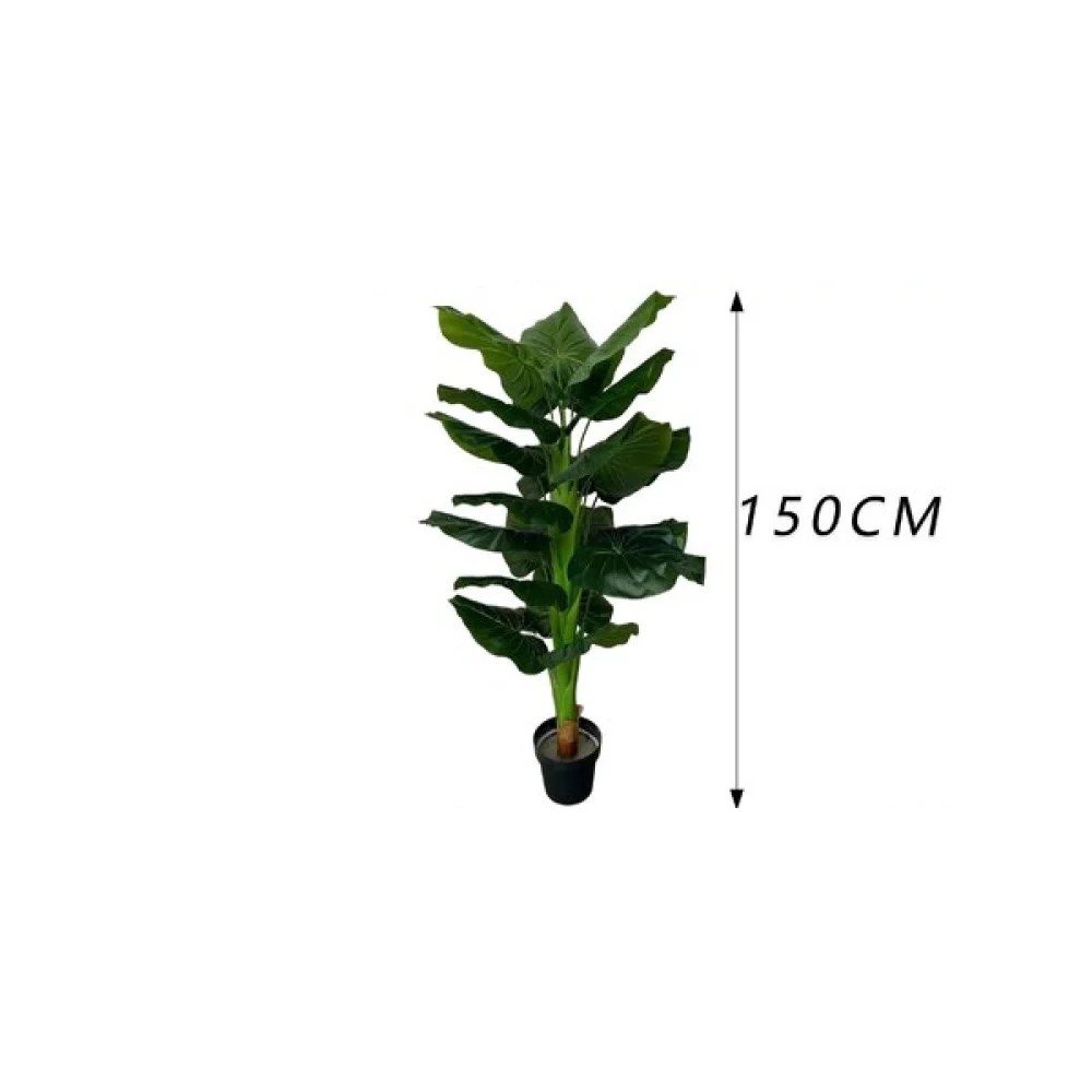 Taro emperador de tallo único con maceta (150 cm) 150 cm por mayor en Chile