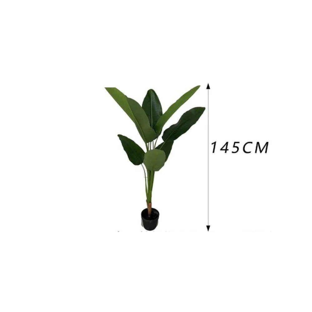 Palmera del viajero de un solo tallo con maceta (145 cm) 145 cm por mayor en Chile