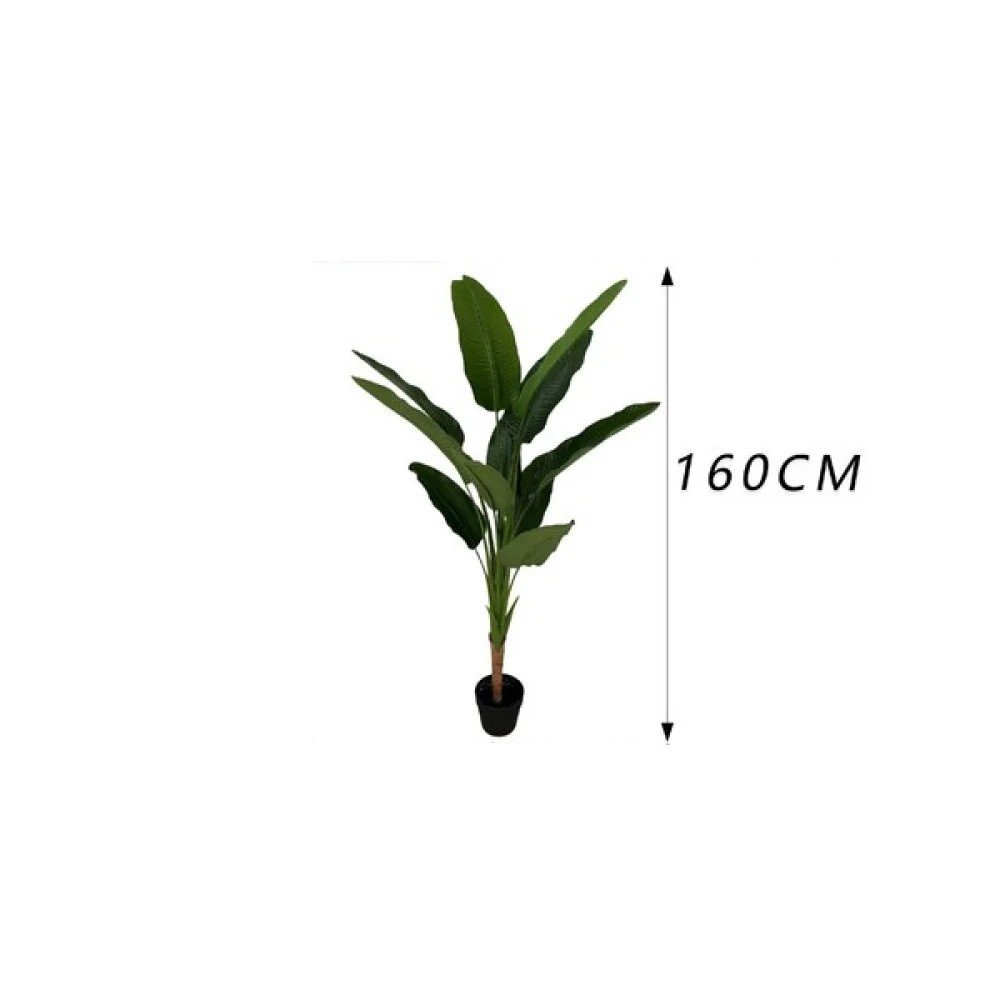 Monstera deliciosa de un solo tallo con maceta (160 cm) 160 cm por mayor en Chile