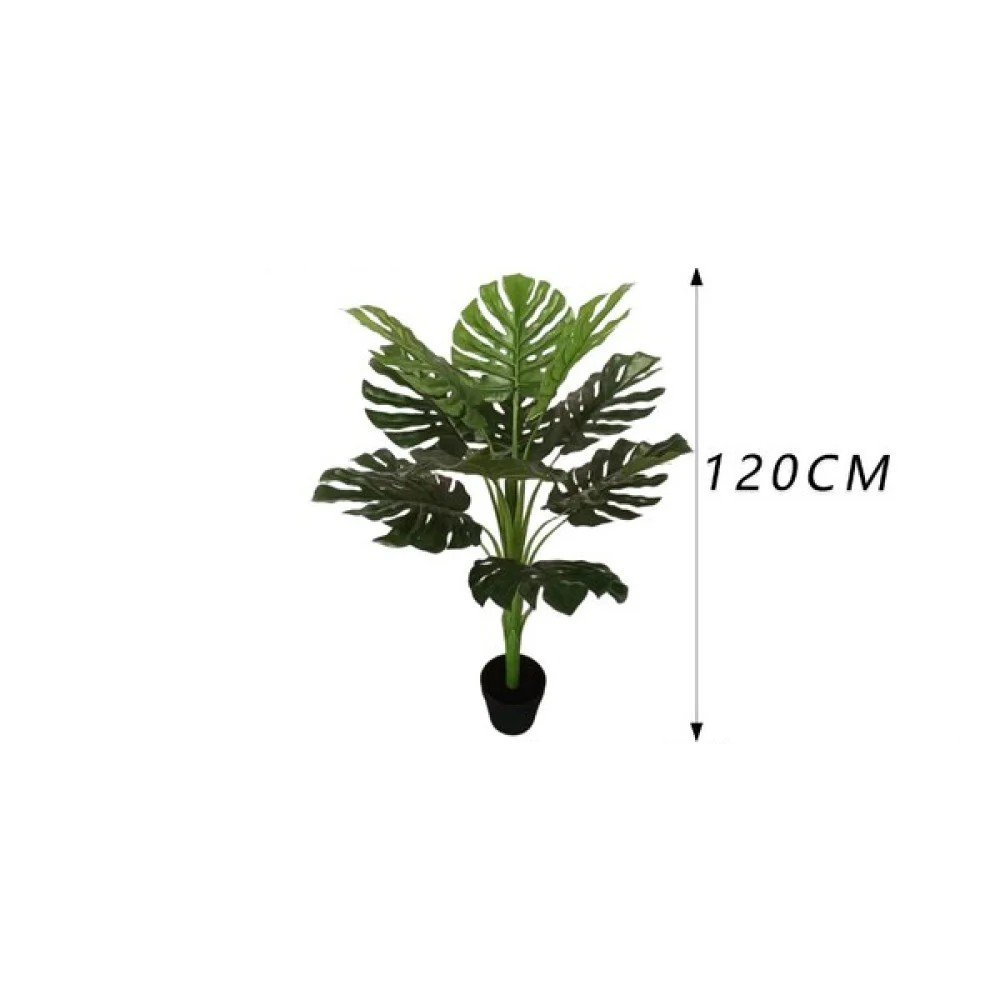 Monstera deliciosa de un solo tallo con maceta (120 cm) 120 cm por mayor en Chile