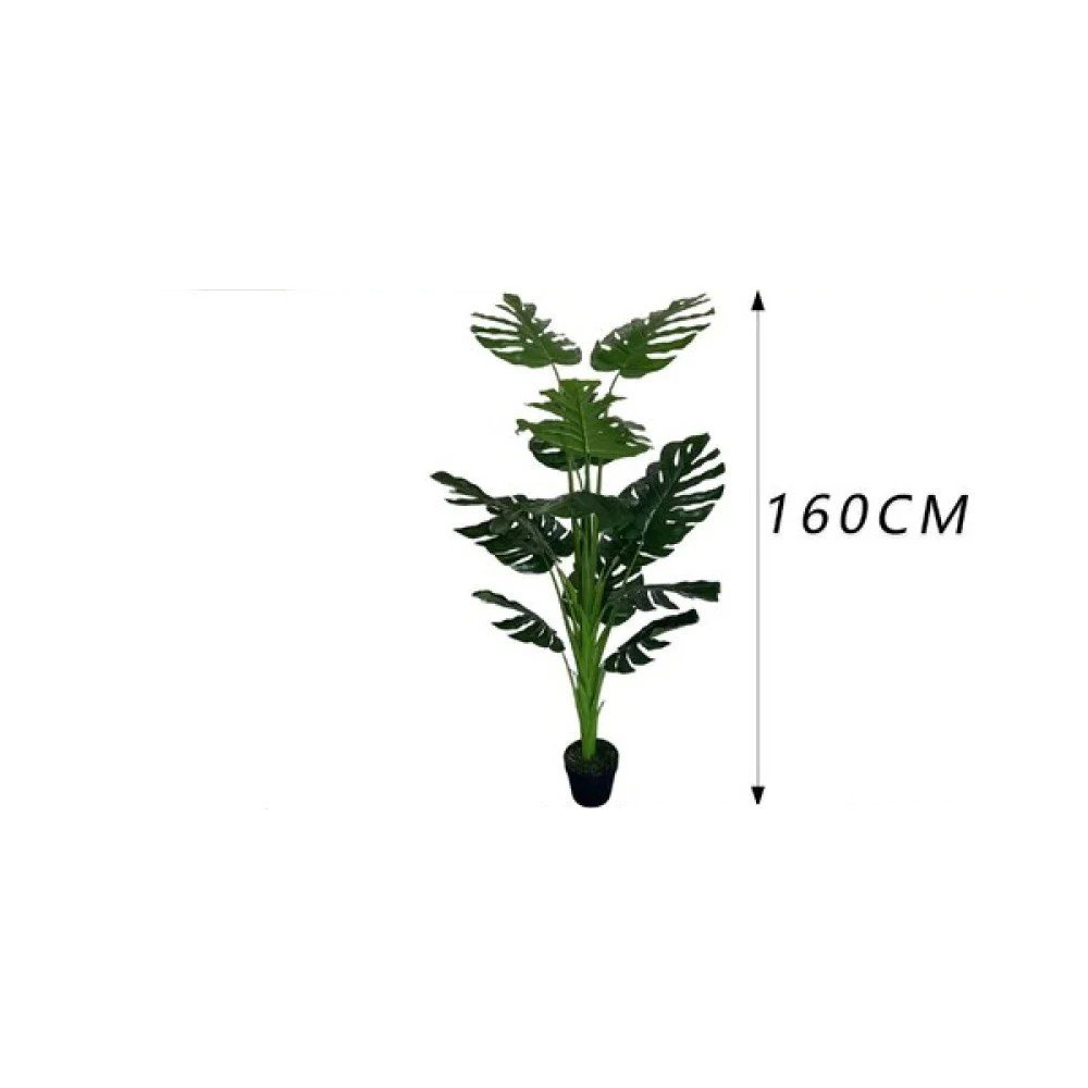 Monstera deliciosa de un solo tallo con maceta (160 cm) 160 cm por mayor en Chile