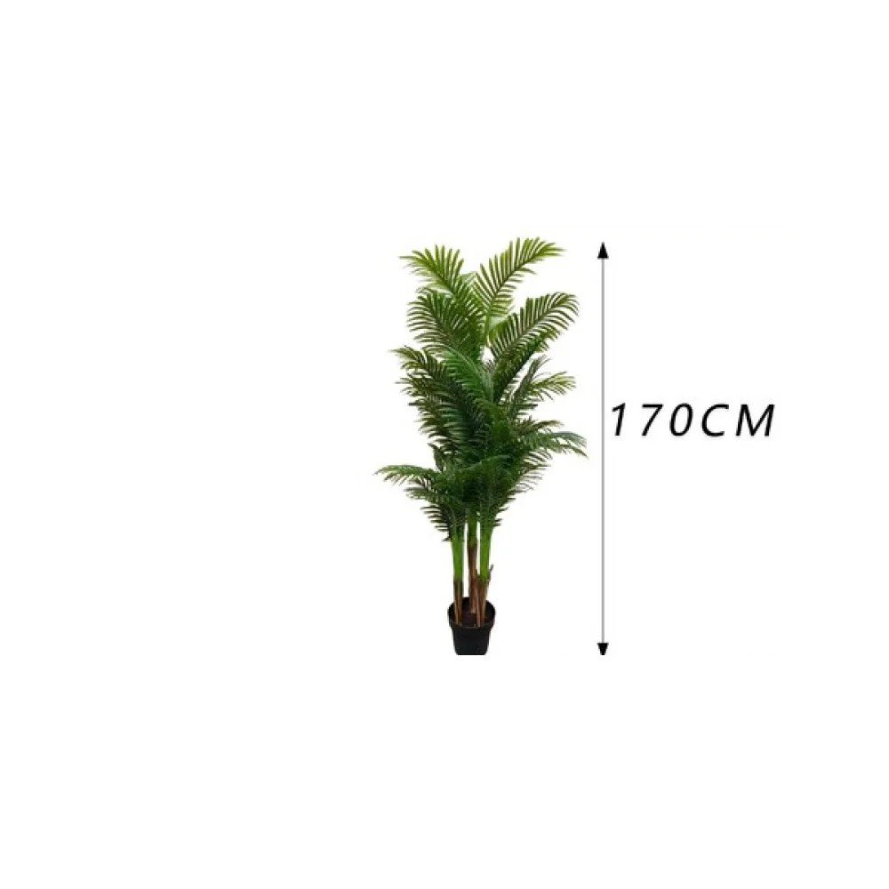 Palmera diamante de tres tallos (con maceta) (170 cm) 170 cm por mayor en Chile