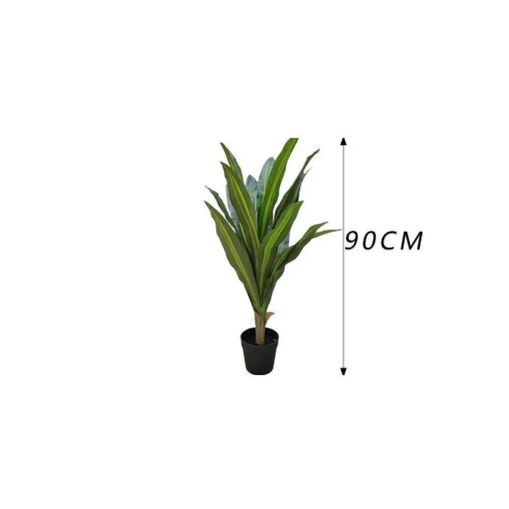 Dracaena fragrans con maceta (90 cm) 90 cm por mayor en Chile