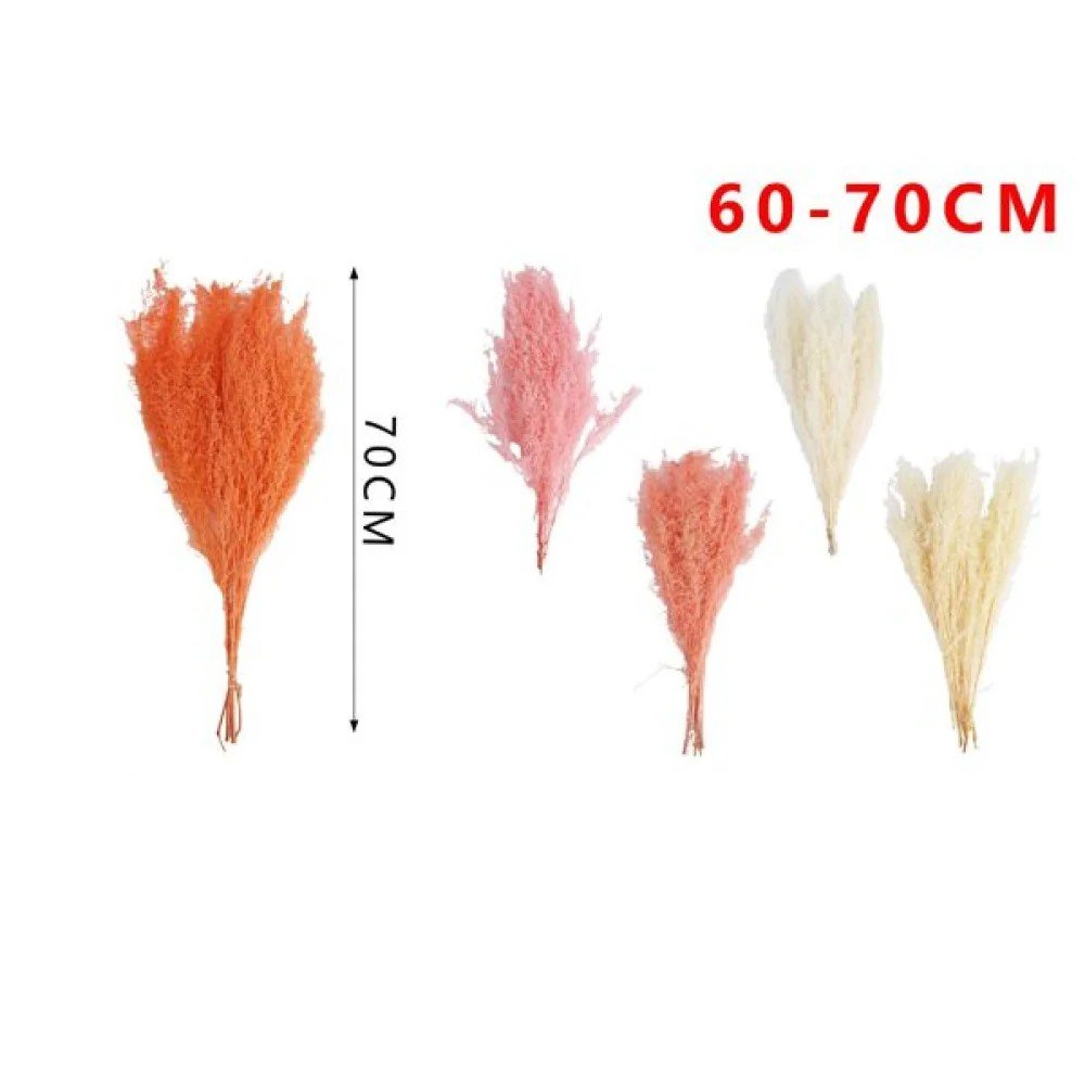 Hierba de flor de ajenjo de 60-70 cm 60-70 CM por mayor en Chile