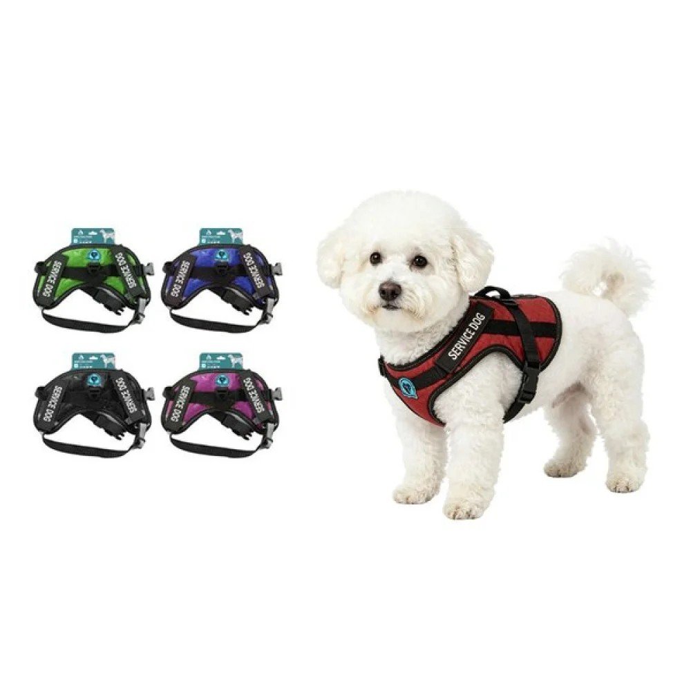 ARNES SERVICE DOG TALLA XL por mayor en Chile