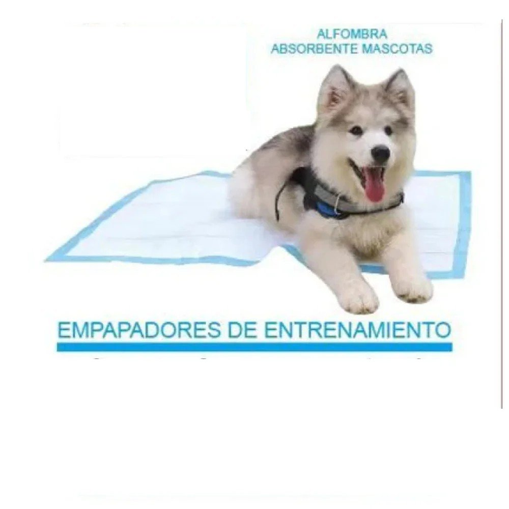 SABANILLAS PARA MASCOTAS 24 PZA- 33 X 45 CM por mayor en Chile