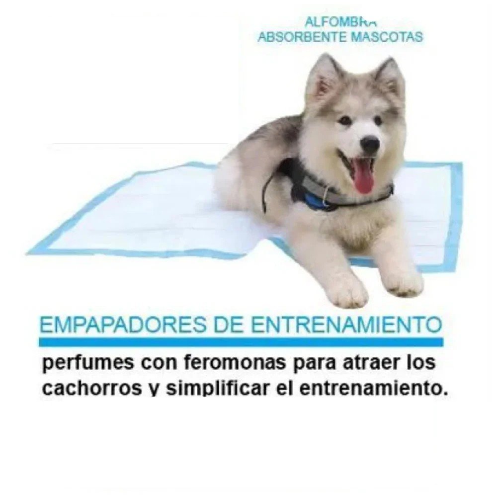 SABANILLAS PARA MASCOTAS 12PZA- 60 X 60 CM por mayor en Chile