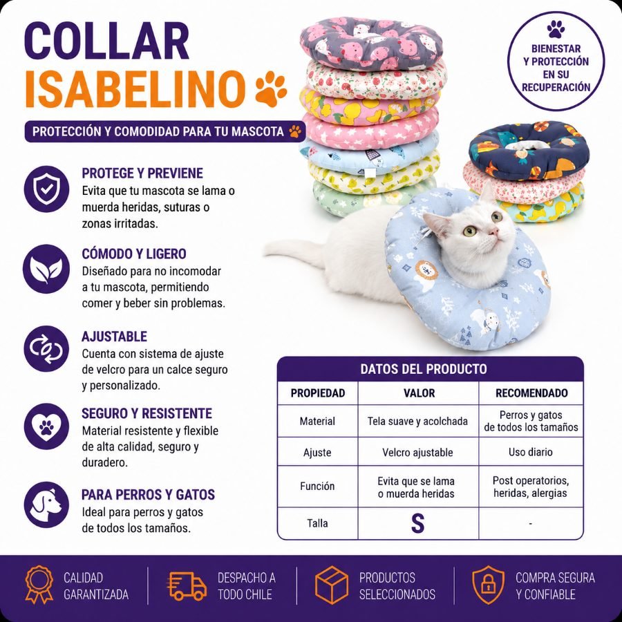 Collar Isabelino TALLA S por mayor en Chile