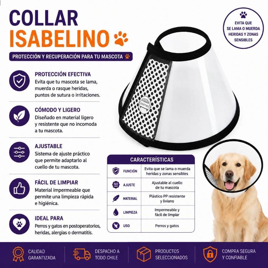 COLLAR ISABELINO #8 34 CM por mayor en Chile