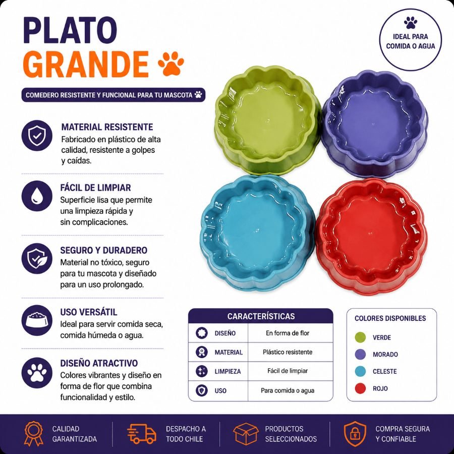 Plato Grande 1 PZA por mayor en Chile