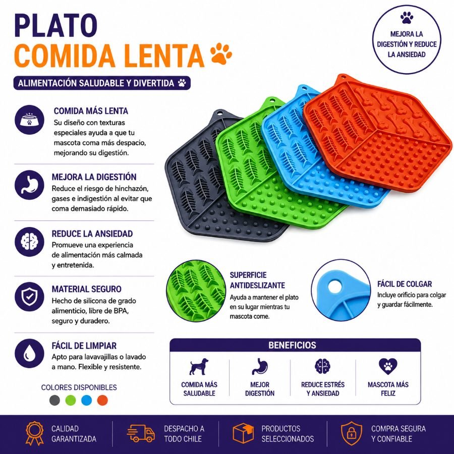 PLATO COMIDA LENTA 1 PZA por mayor en Chile