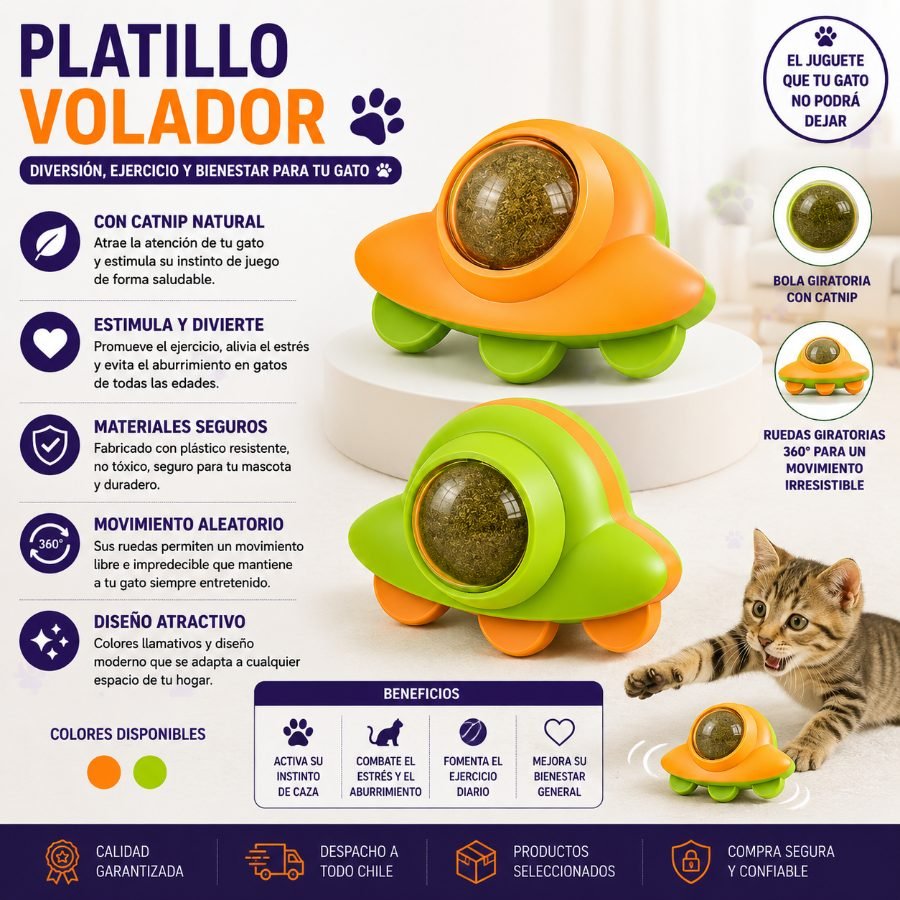 PLATILLO VOLADOR 1 PZA por mayor en Chile