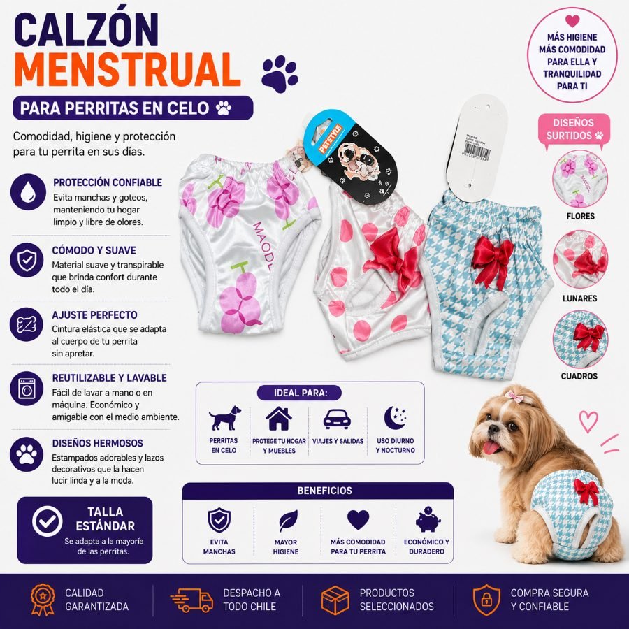 CALZON MENSTRUAL ESTANDAR por mayor en Chile