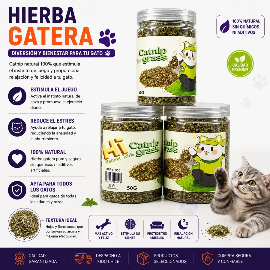 Hierba gatera  50 G por mayor en Chile