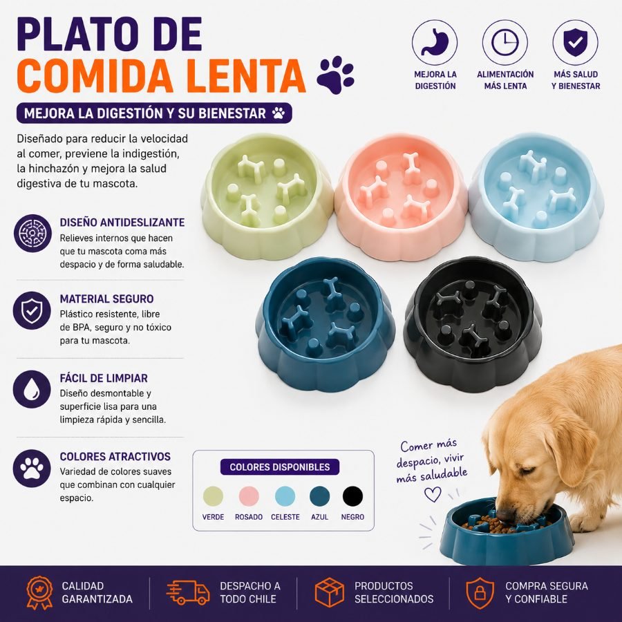 PLATO DE COMIDA LENTA 1 PZA por mayor en Chile