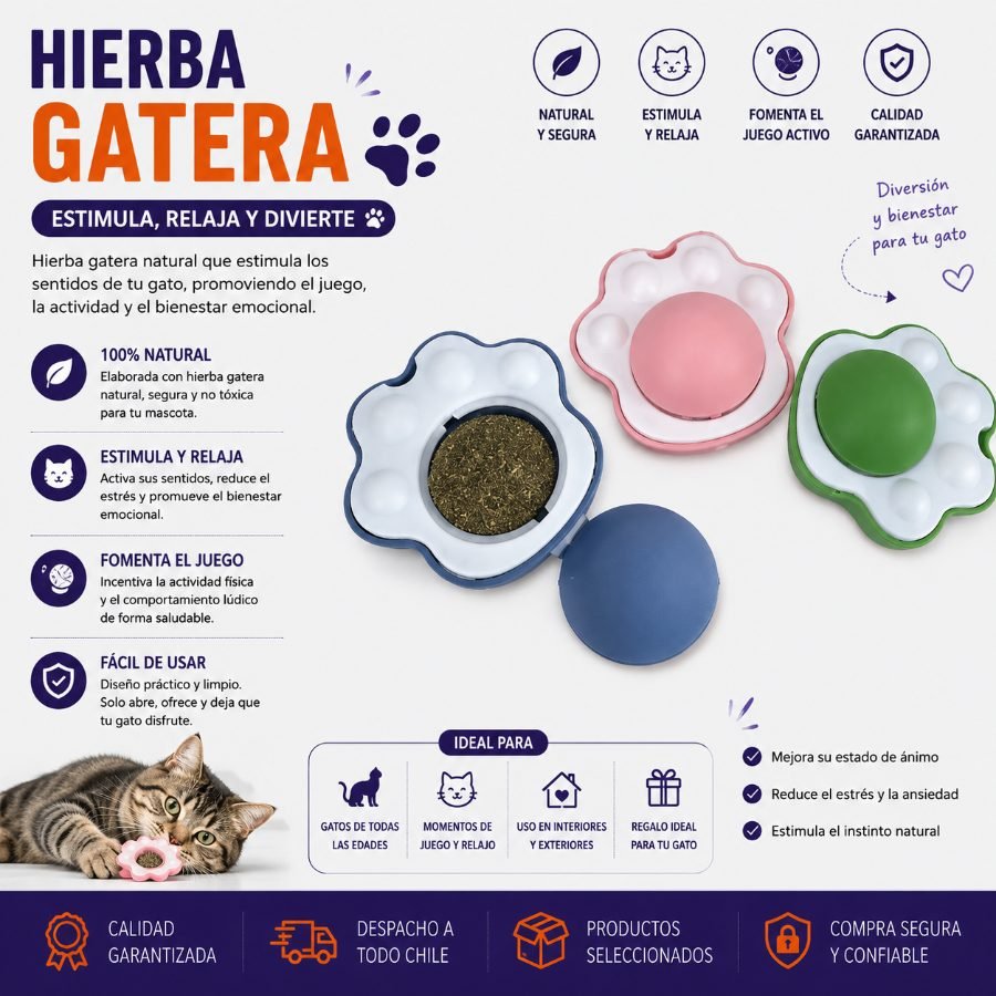HIERBA GATERA 1 PZA por mayor en Chile