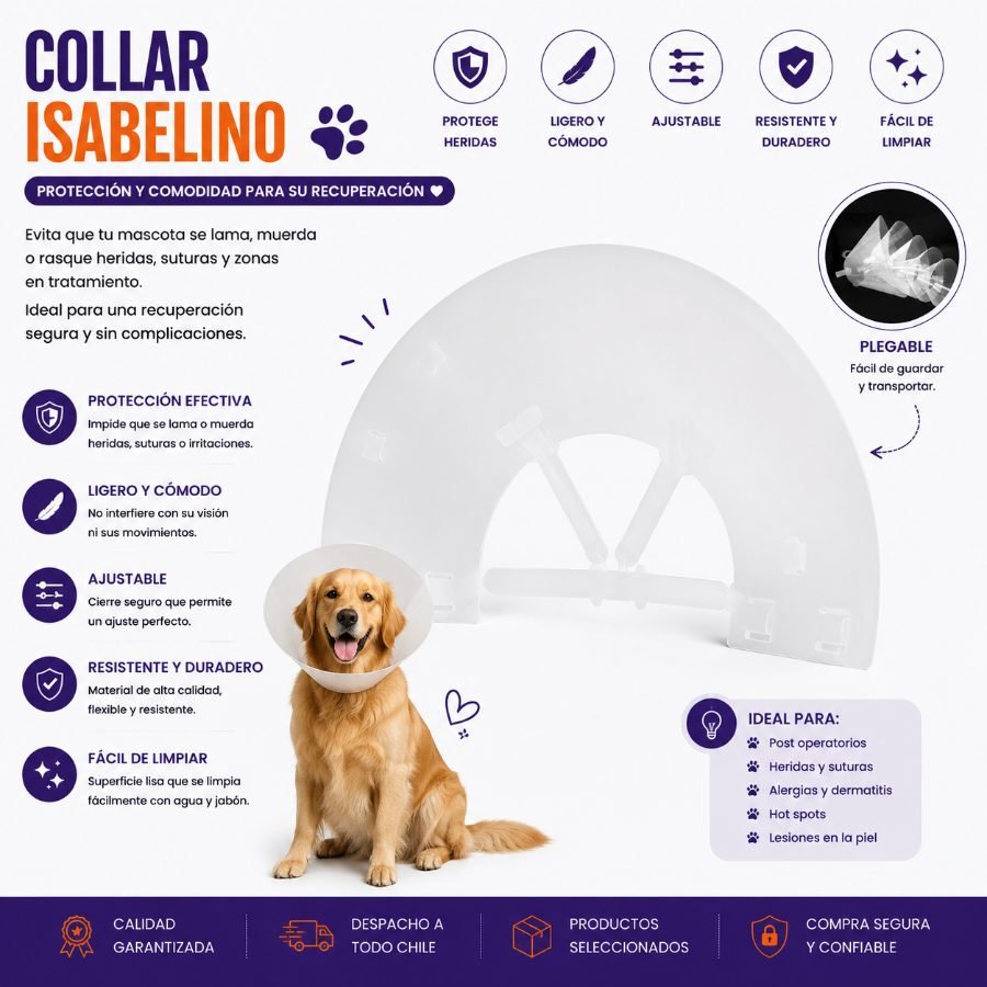COLLAR ISABELINO 1 PZA - Número  12,5 por mayor en Chile