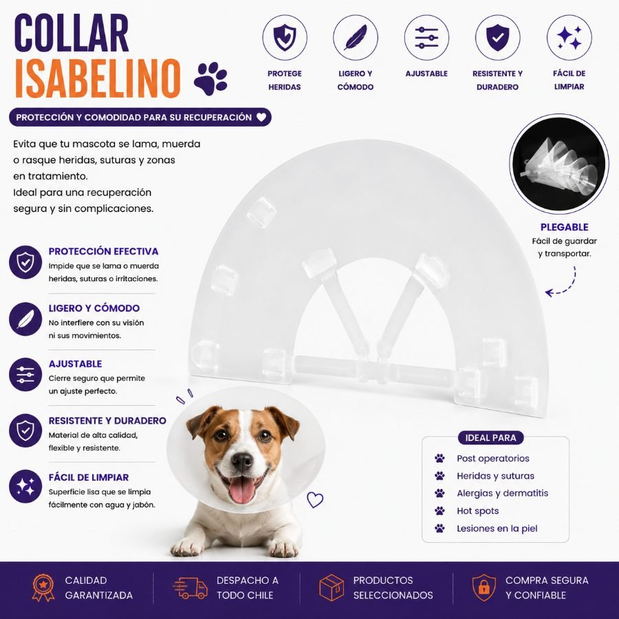 COLLAR ISABELINO  1 PZA - Número 7.5 por mayor en Chile