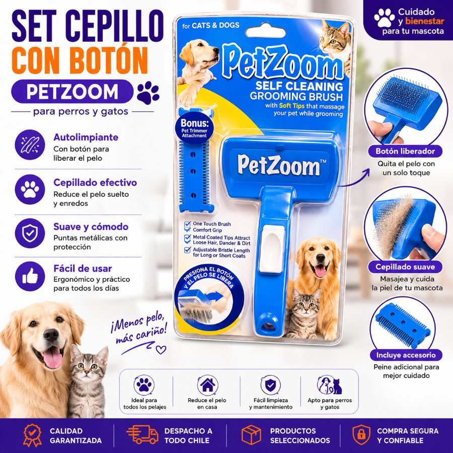 SET CEPILLO CON BOTON 1 SET por mayor en Chile