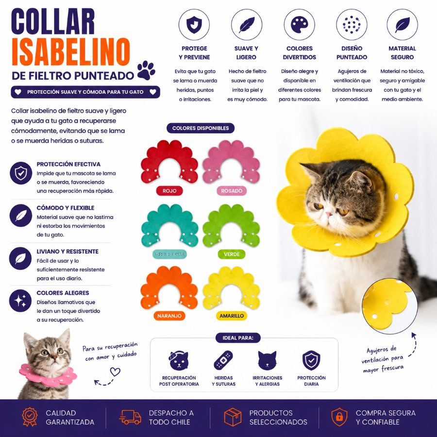 COLLAR ISABELINO DE FIELTRO PUNTEADO TALLA M por mayor en Chile