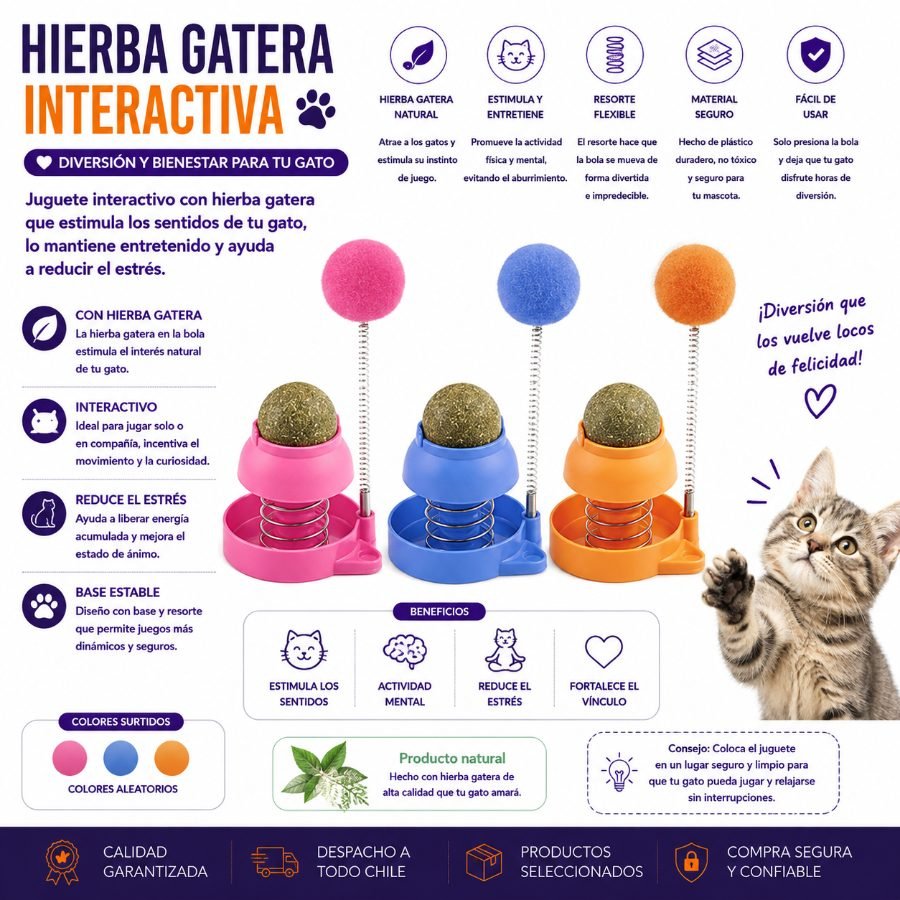 HIERBA GATERA INTERACTIVA 1 PZA por mayor en Chile