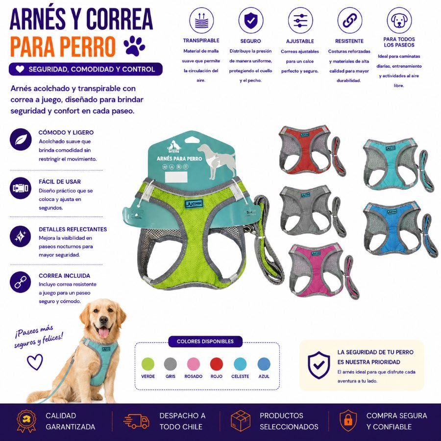 ARNES+CORREA PARA PERRO TALLA S por mayor en Chile