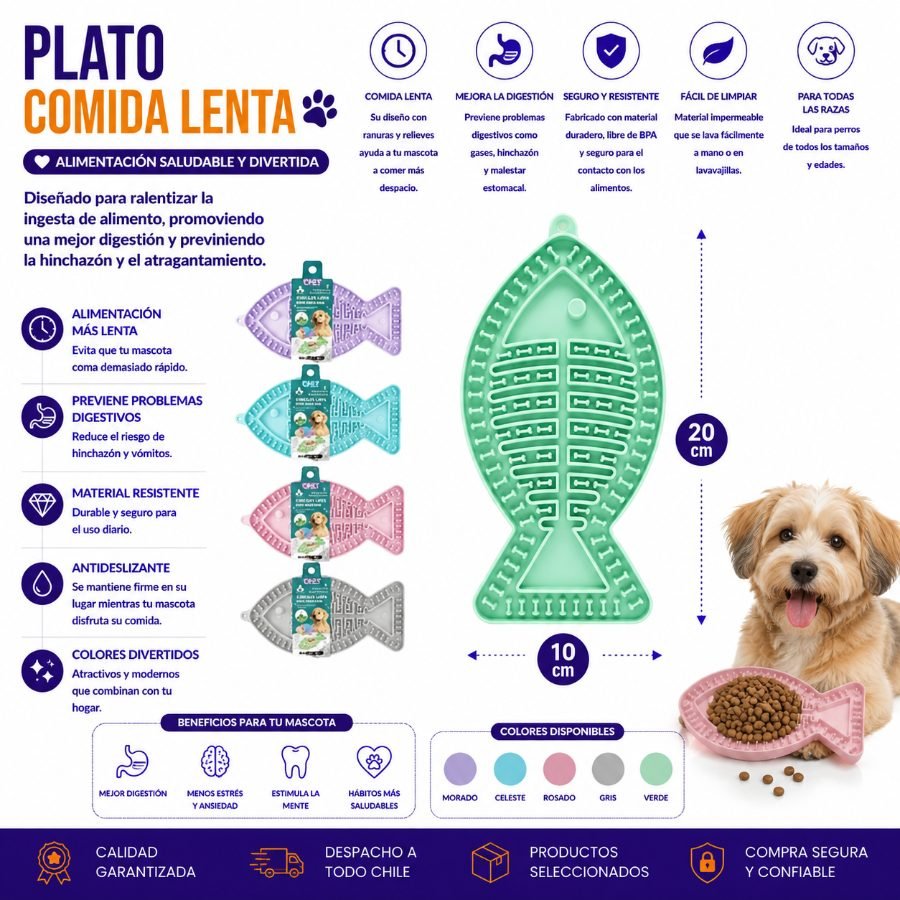 PLATO COMIDA LENTA 20 X 10 CM por mayor en Chile