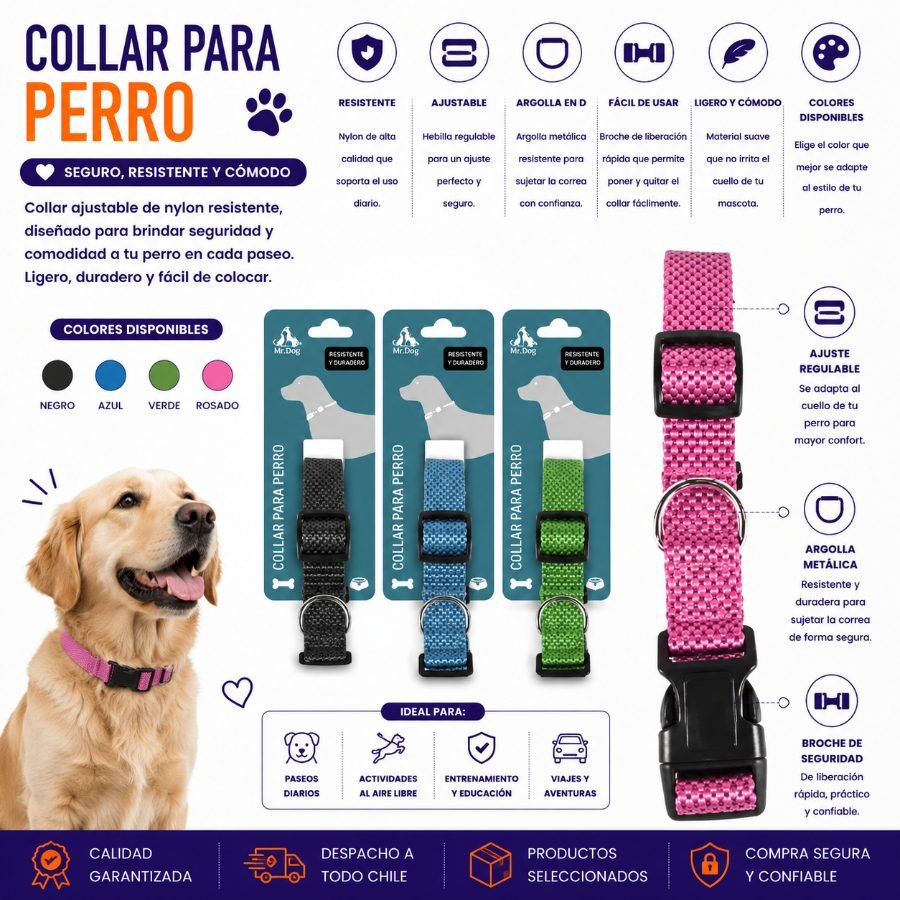 COLLAR PARA PERRO 2,5 CM por mayor en Chile