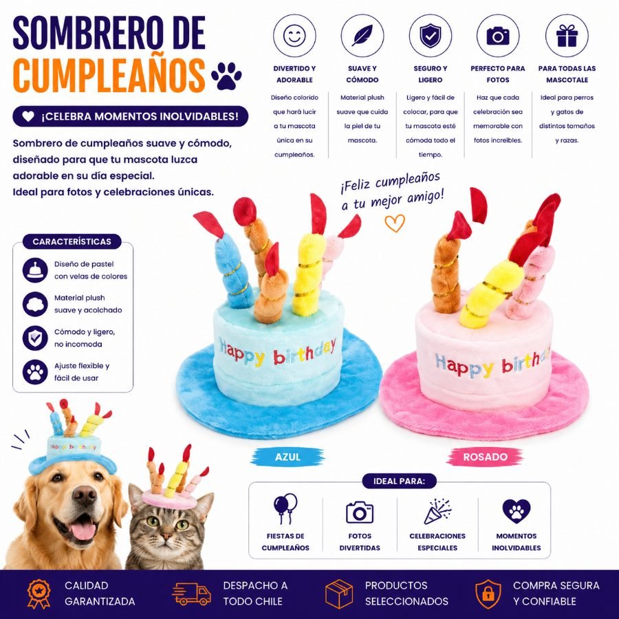SOMBRERO DE CUMPLEAÑOS 1 PZA por mayor en Chile