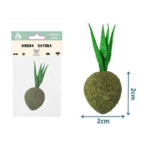 RABANO DE HIERBA GATERA por mayor - Mascotas por mayor