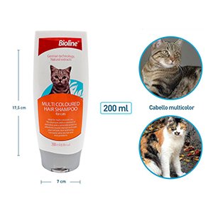 Shampoo para gatos por mayor - Mascotas por mayor