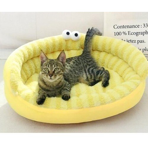 SOFA CAMA por mayor - Mascotas por mayor