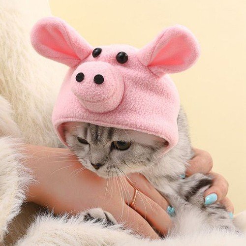 SOMBREO DE CERDO PARA MASCOTA por mayor - Mascotas por mayor