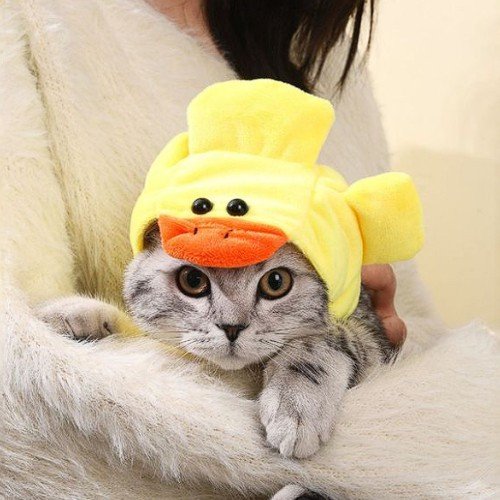 SOMBREO DE PATO PARA MASCOTA  por mayor - Mascotas por mayor