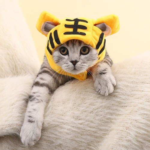 SOMBREO DE TIGRE PARA MASCOTA  por mayor - Mascotas por mayor