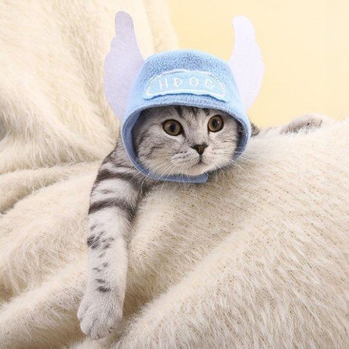 SOMBREO STITCH PARA MASCOTA por mayor - Mascotas por mayor